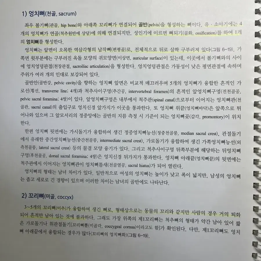 인체구조와 기능 1,2