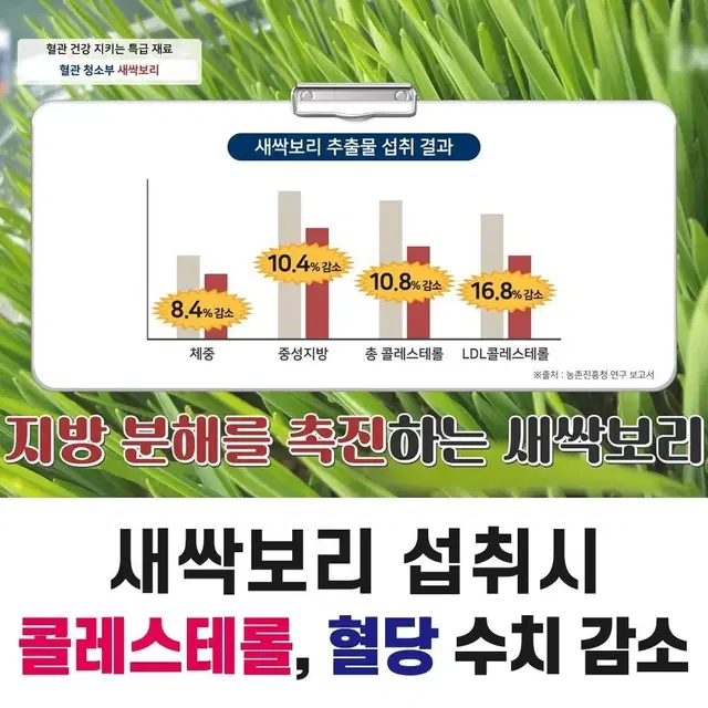 쉐딩보감비움비책1+1+1+1