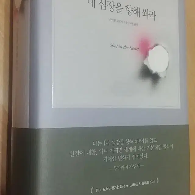 내 심장을 향해 쏴라ㅡ마이클 길모어