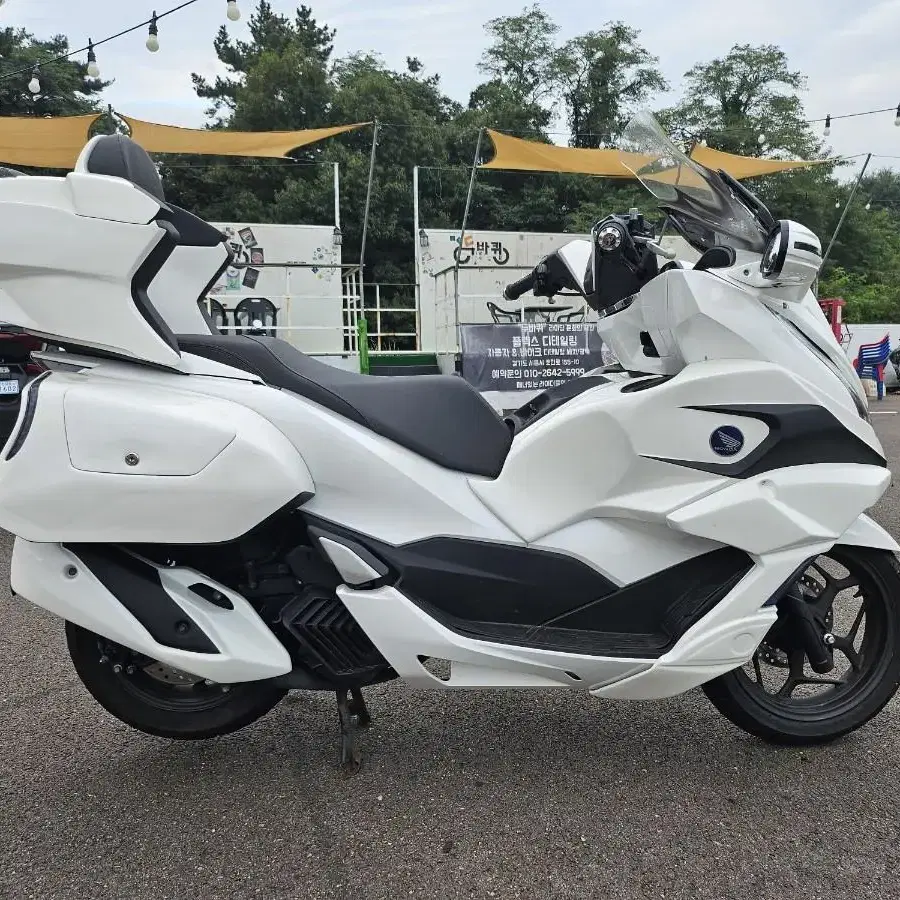 pcx baby goldwing