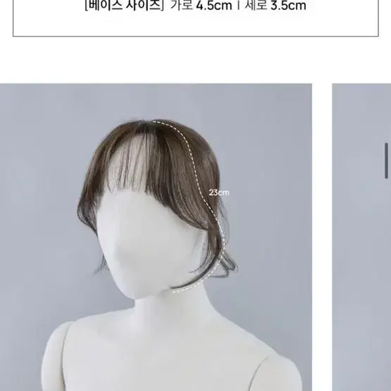 핑크에이지 시스루뱅 (백금발)