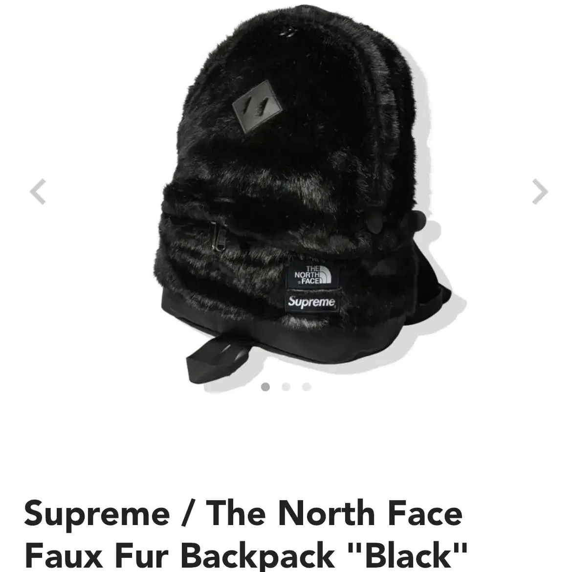 Supreme 슈프림 노스페이스 backpack 퍼 백팩