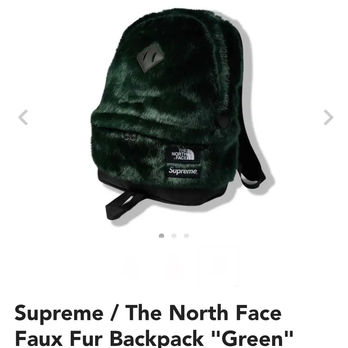 Supreme 슈프림 노스페이스 backpack 퍼 백팩