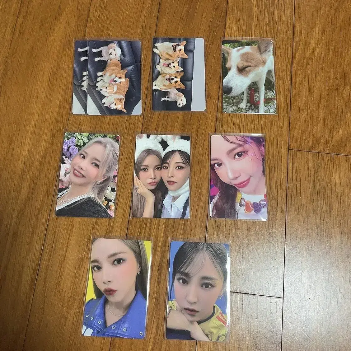 MamamooPlus Dangdang AlbumPhotocard solar Bizent Perks