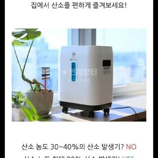 강아지 산소방 팝니다