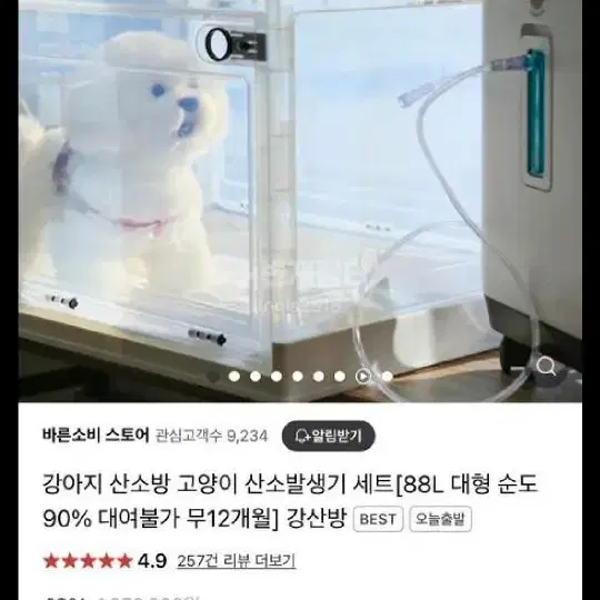 강아지 산소방 팝니다