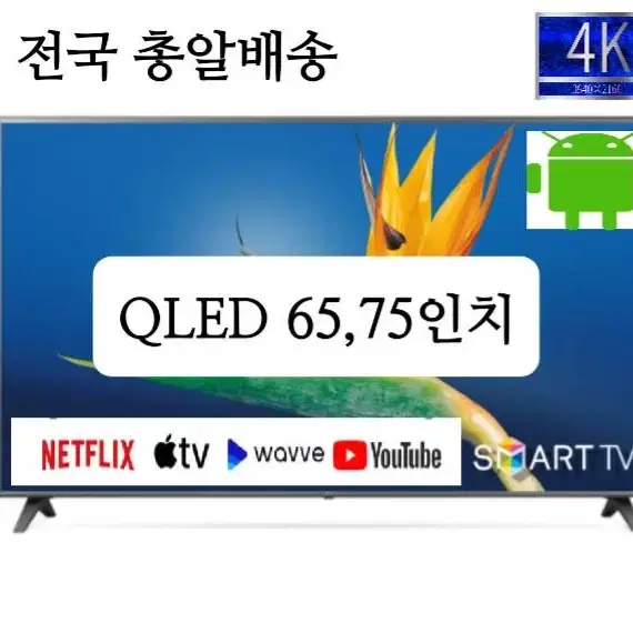 65인치 75인치 QLED 스마트 티비 새상품