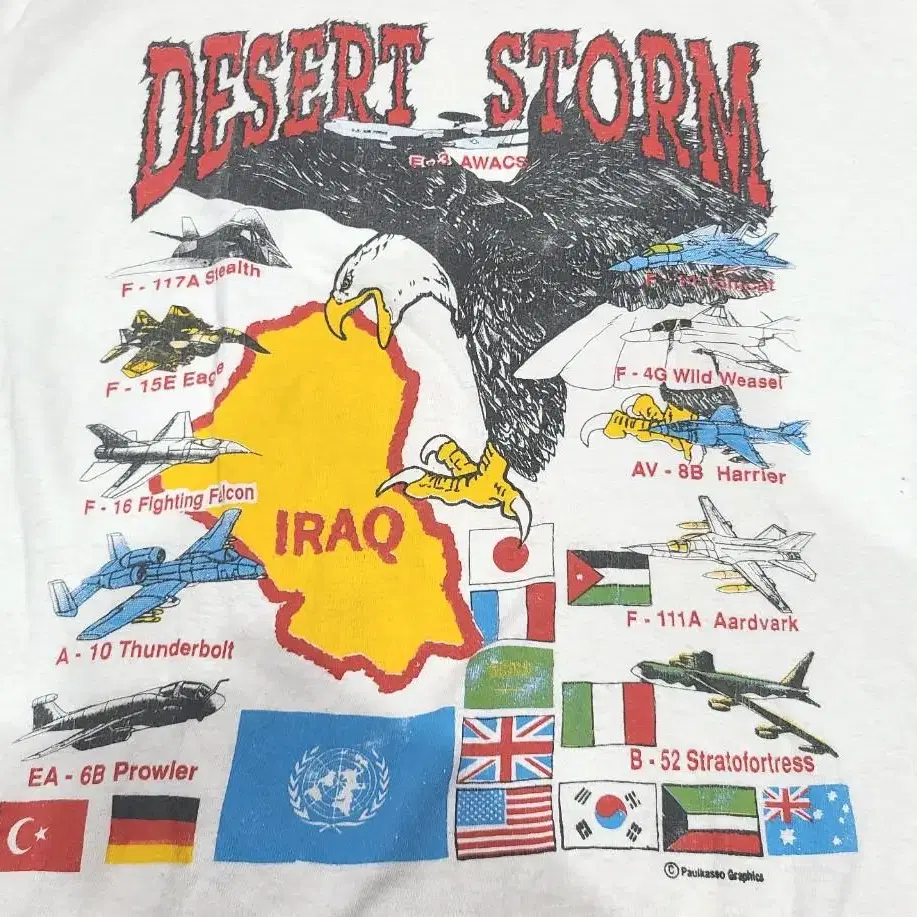 DESERT STORM 빈티지티셔츠