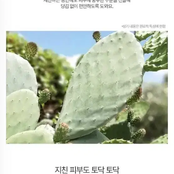 스노우/ 레몬 클렌져 150ml(새상품)