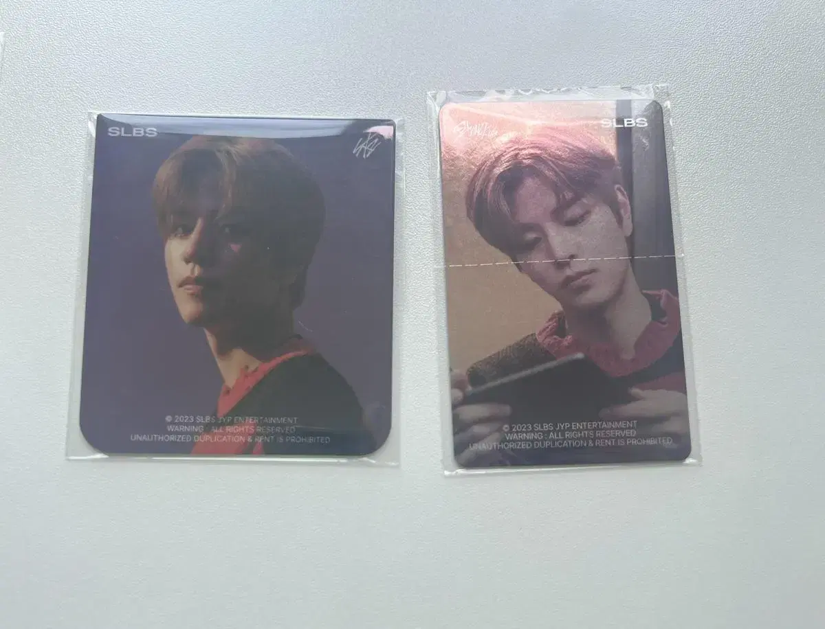 Straykids seungmin Galaxy Z Flip5 Suitcard + Metal Photocard