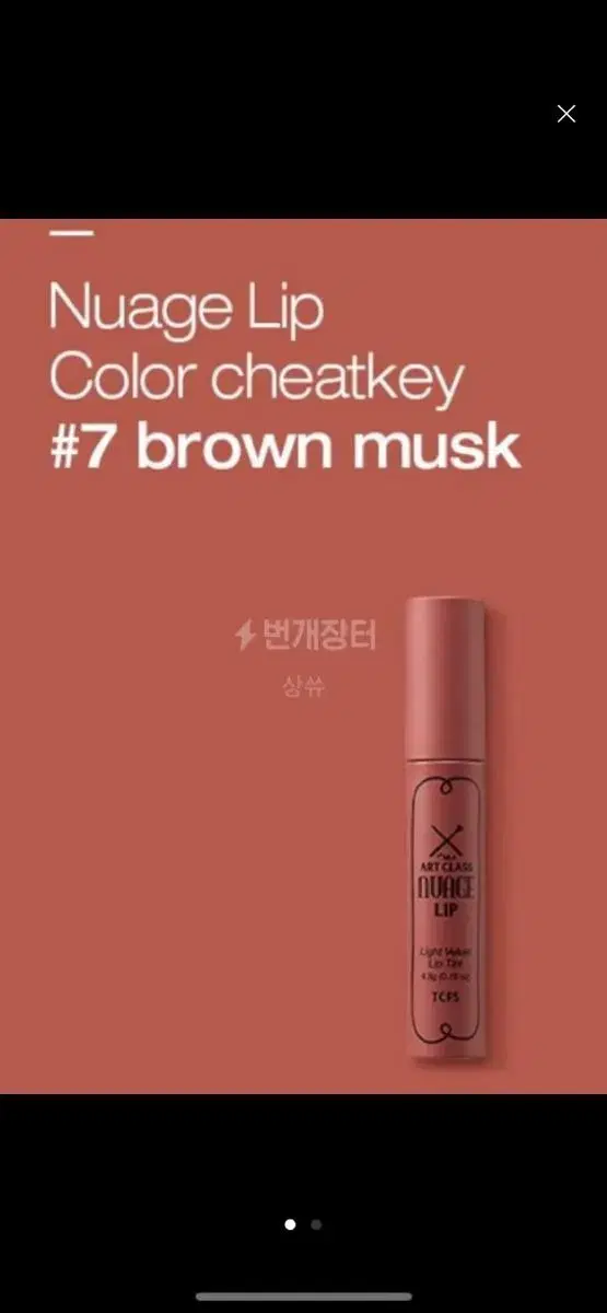 투쿨포스쿨 아트클래스 누아즈립 01brown musk