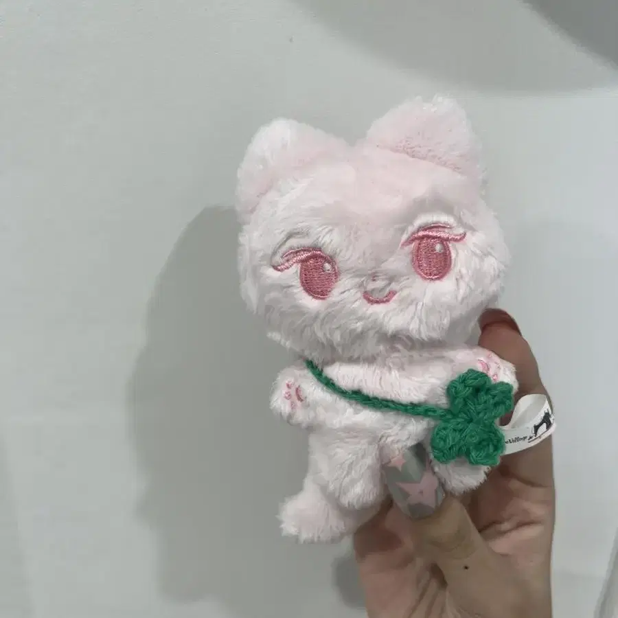 젤냥이 세트