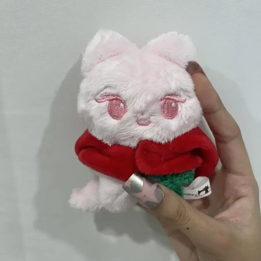 젤냥이 세트