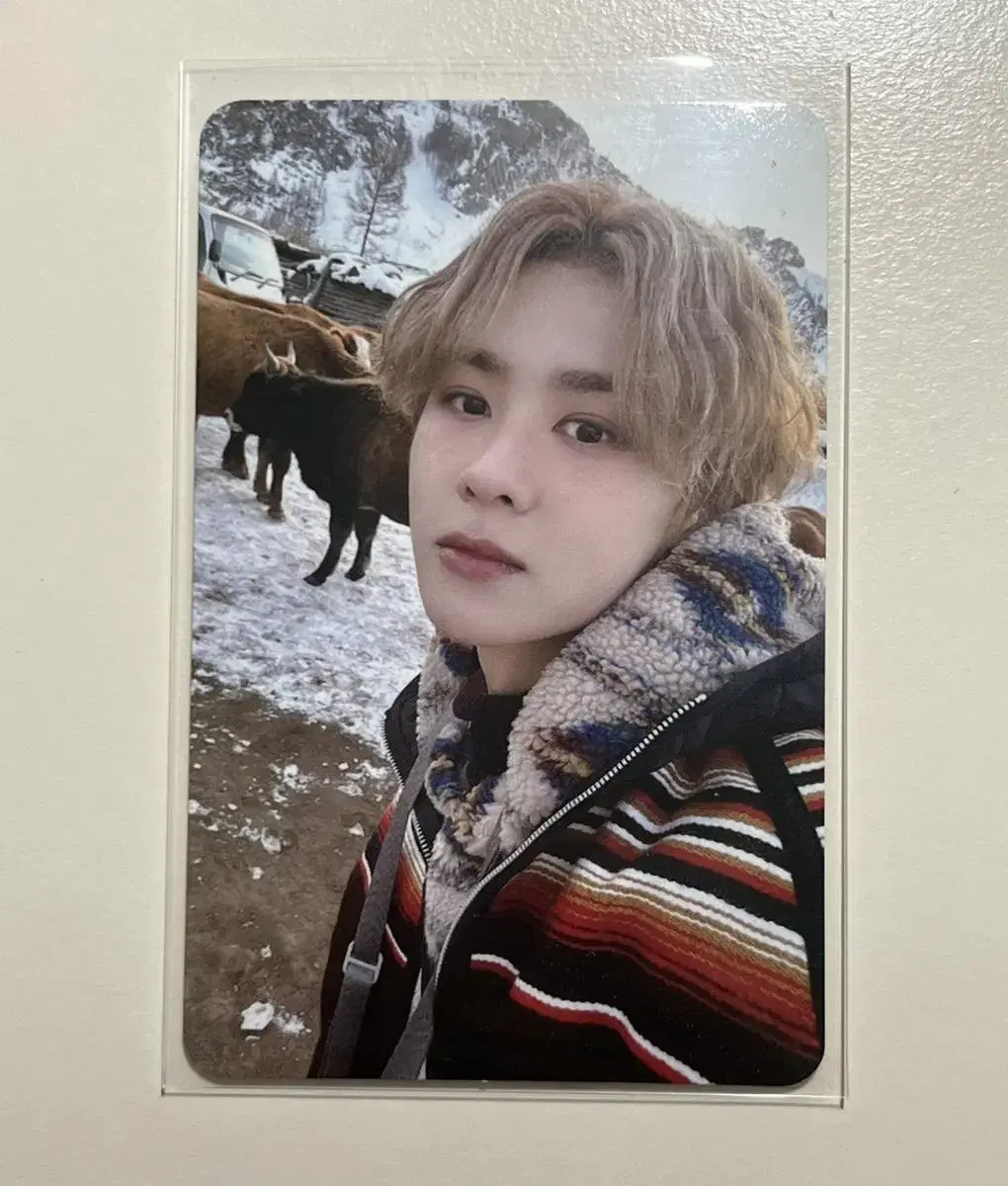 Nct nct Golden E.JI Organization album kun photocard WTS