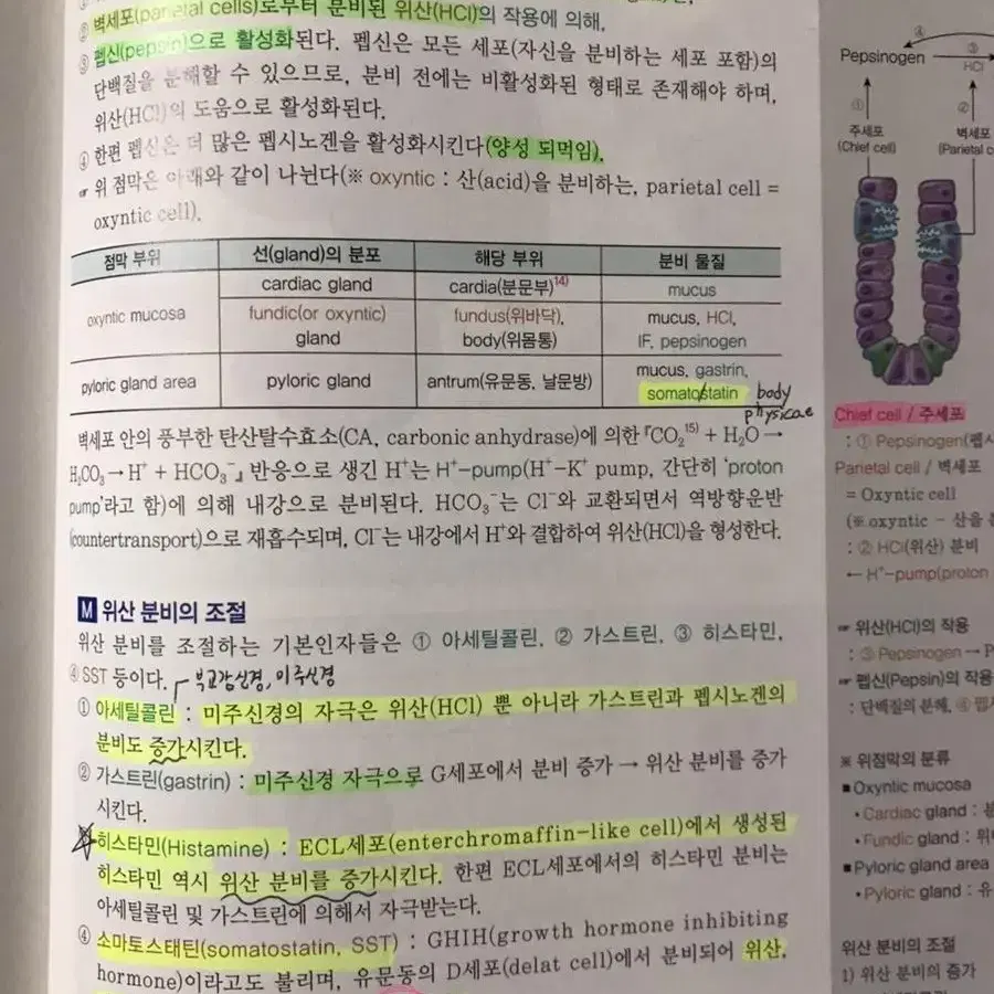 은학사 인체의 구조와 기능 2020년판 1,2판 판매합니다