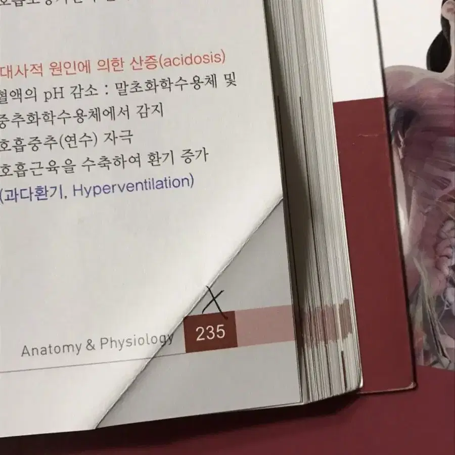 은학사 인체의 구조와 기능 2020년판 1,2판 판매합니다