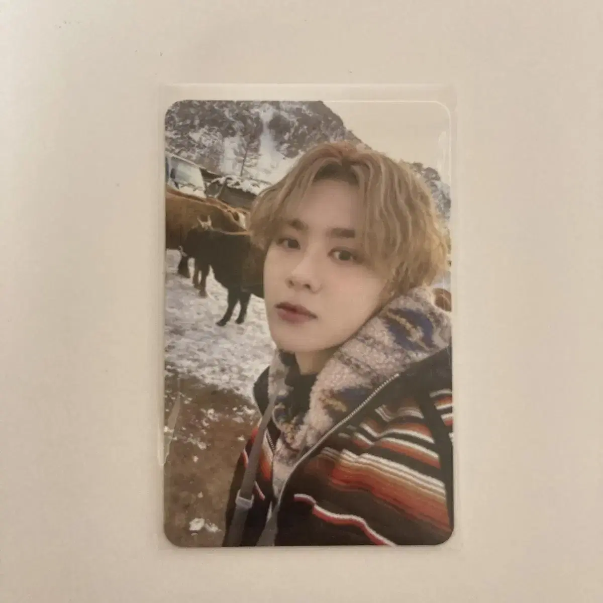 Nct nct Golden E.JI Collecting kun wts wayv