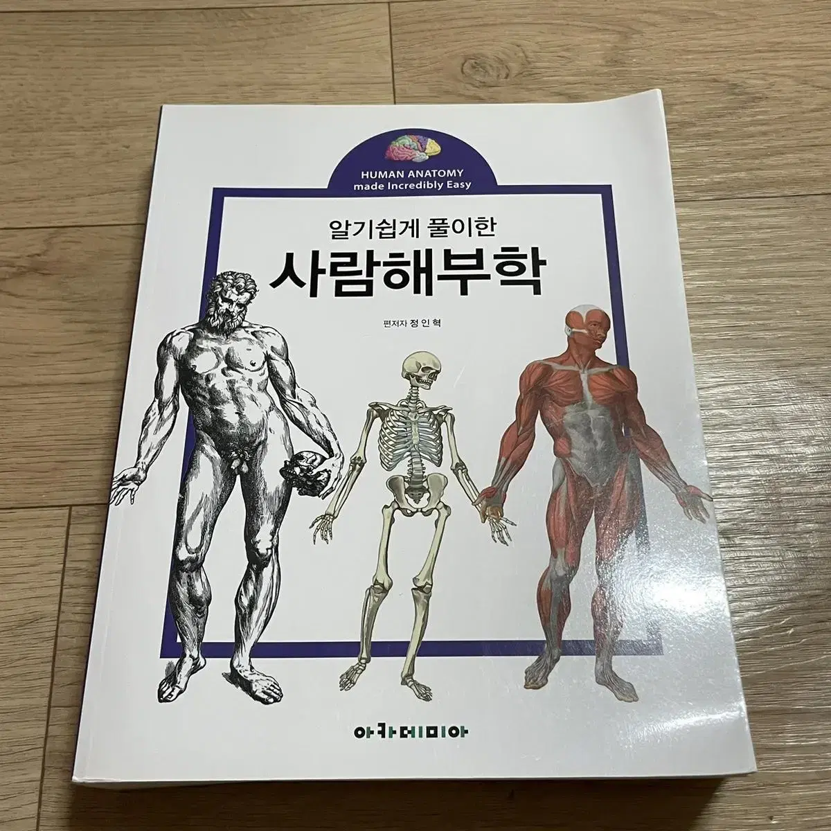 아카데미아 알기쉽게 풀이한 사람해부학