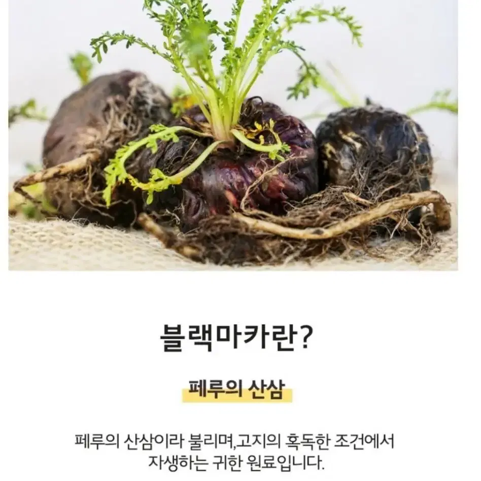 블랙마카파워맥스