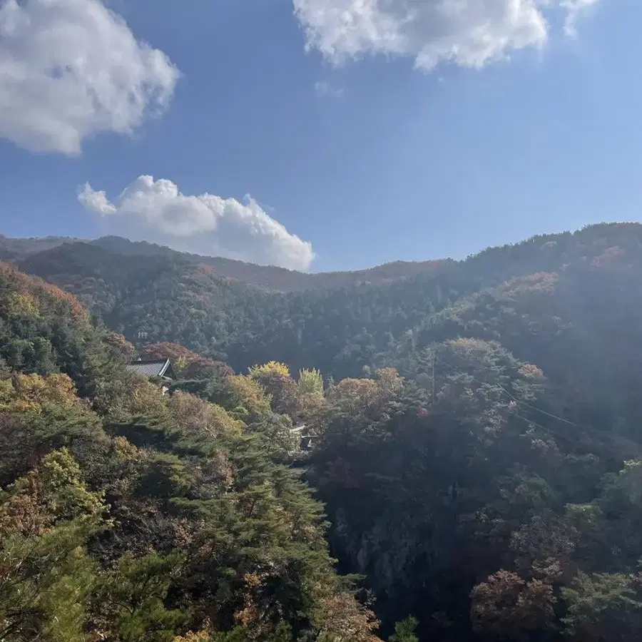 애플 인이어 구매합니다