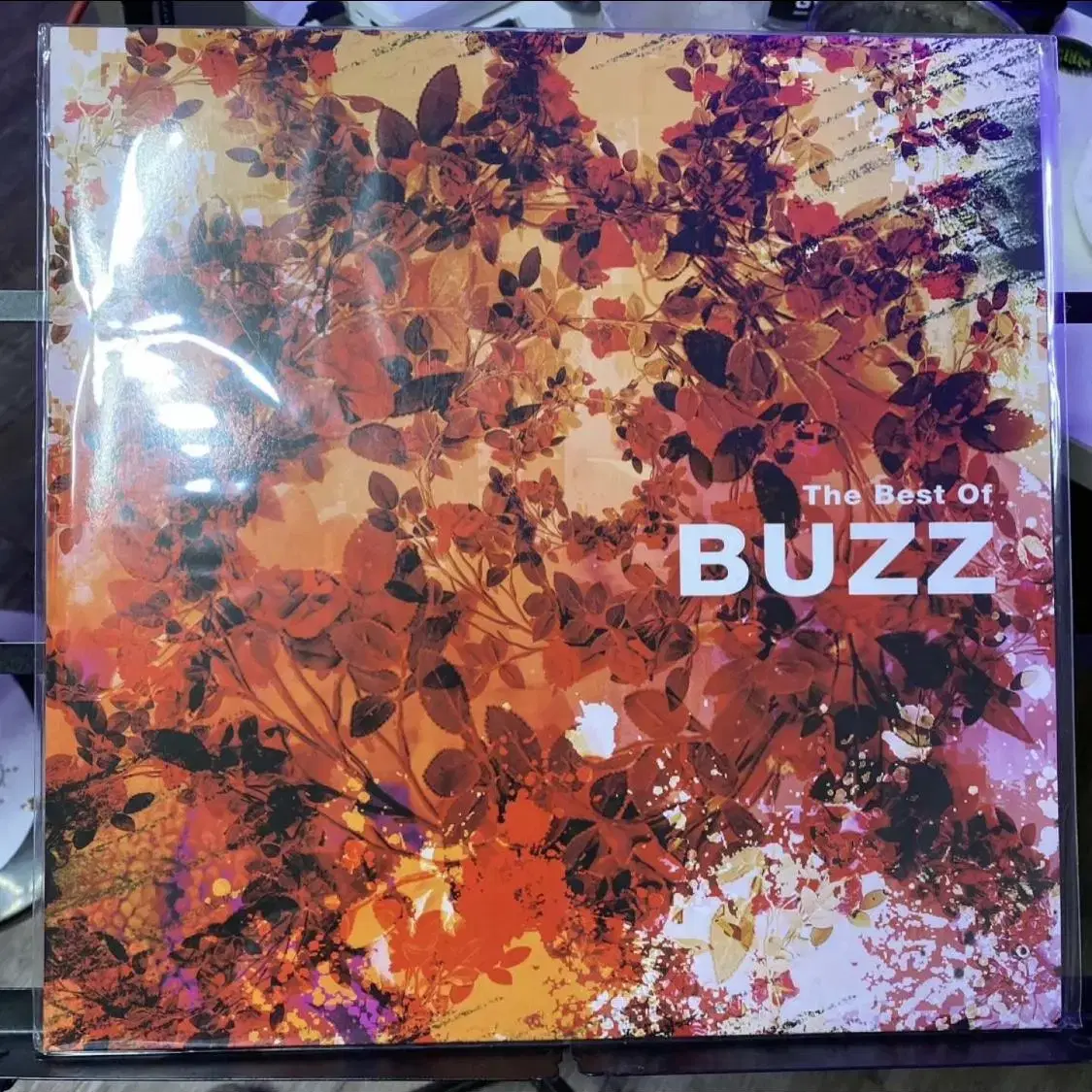 버즈 - The Best of Buzz [180g 블루 컬러 LP][한정