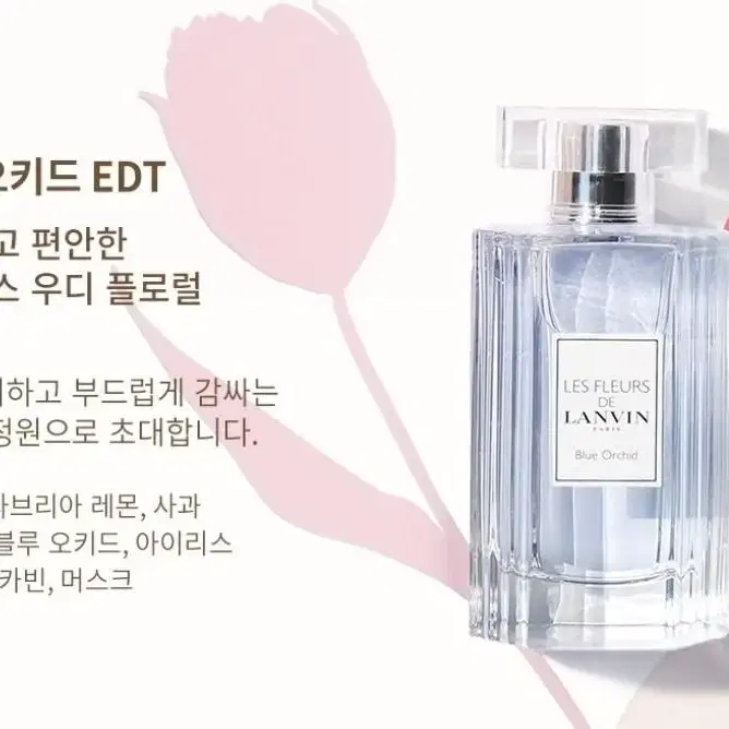 랑방 블루 오키드 오 드 뚜왈렛 50ml