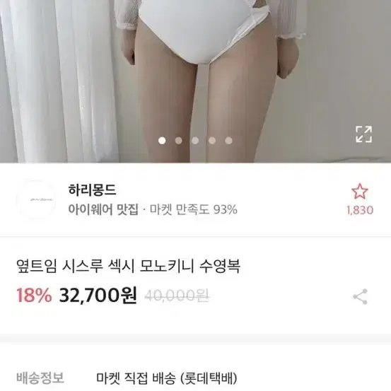 옆트임 시스루 섹시 모노키니