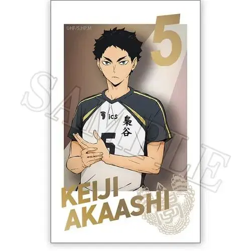 Haikyuu Snapmide Smaroid Metal Card