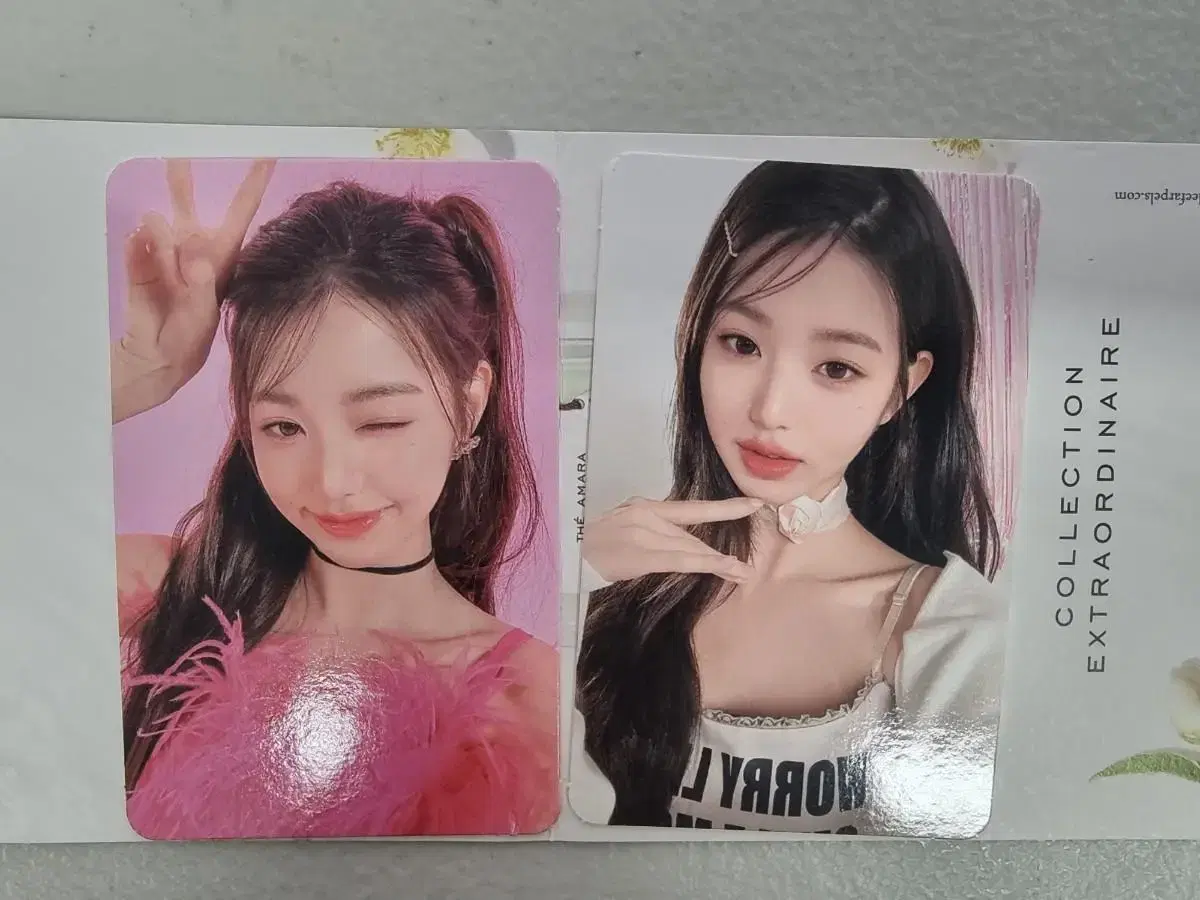 Amuse wonyoung photocard