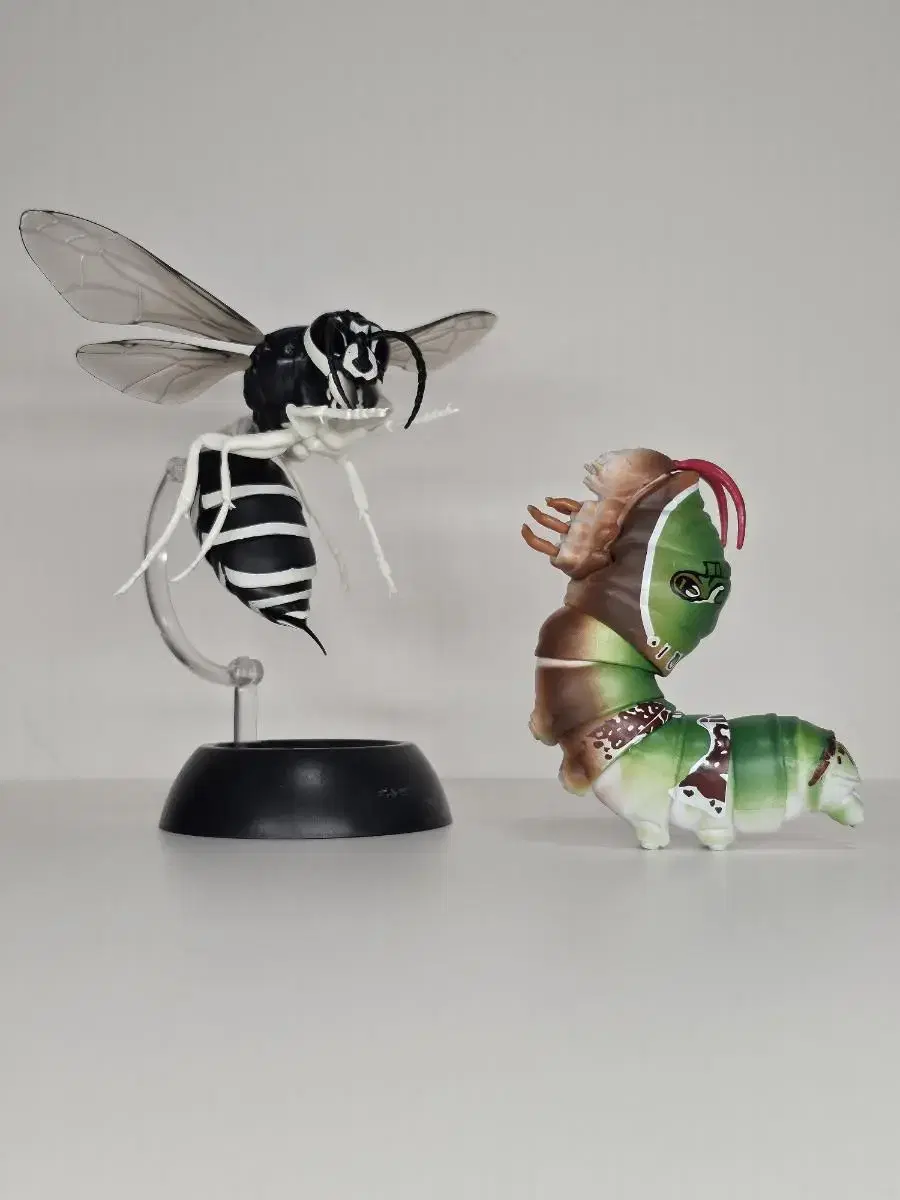 Biological Atlas Wasps and Butterfly Caterpillars