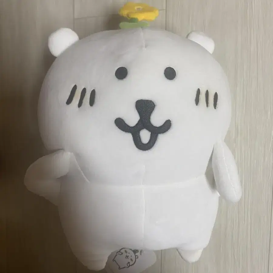 농담곰 비플랏 정품 꽃담곰 판매합니다 택포함