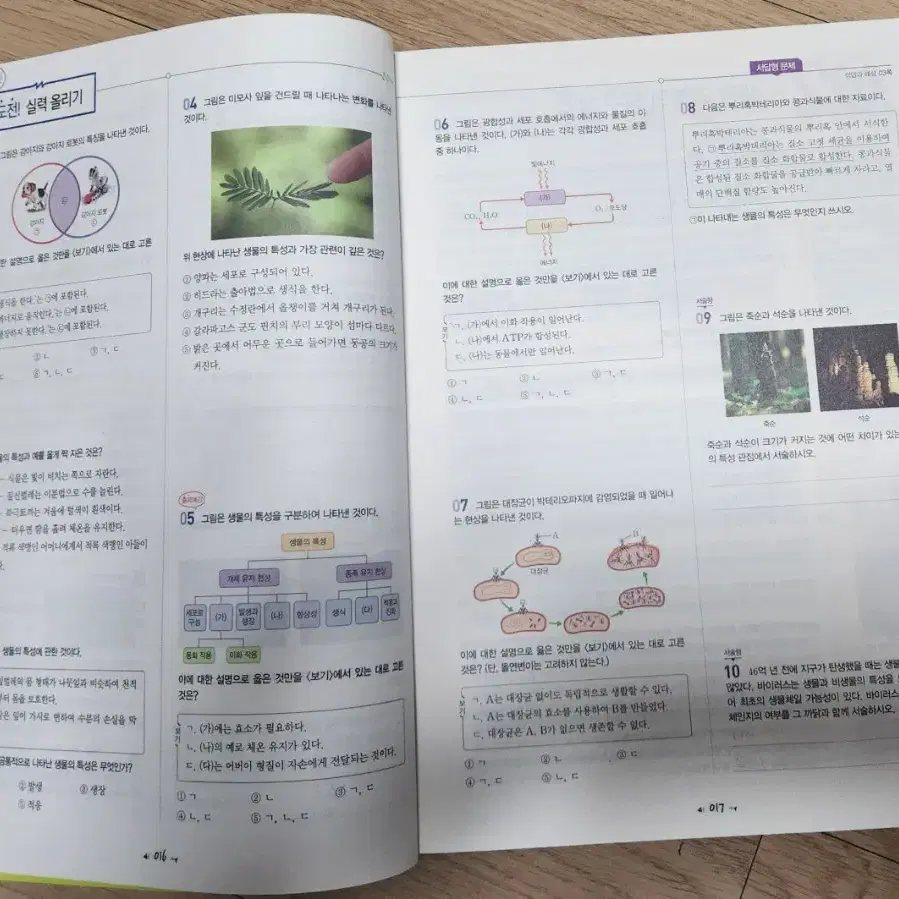 개념풀 고등 생명과학1