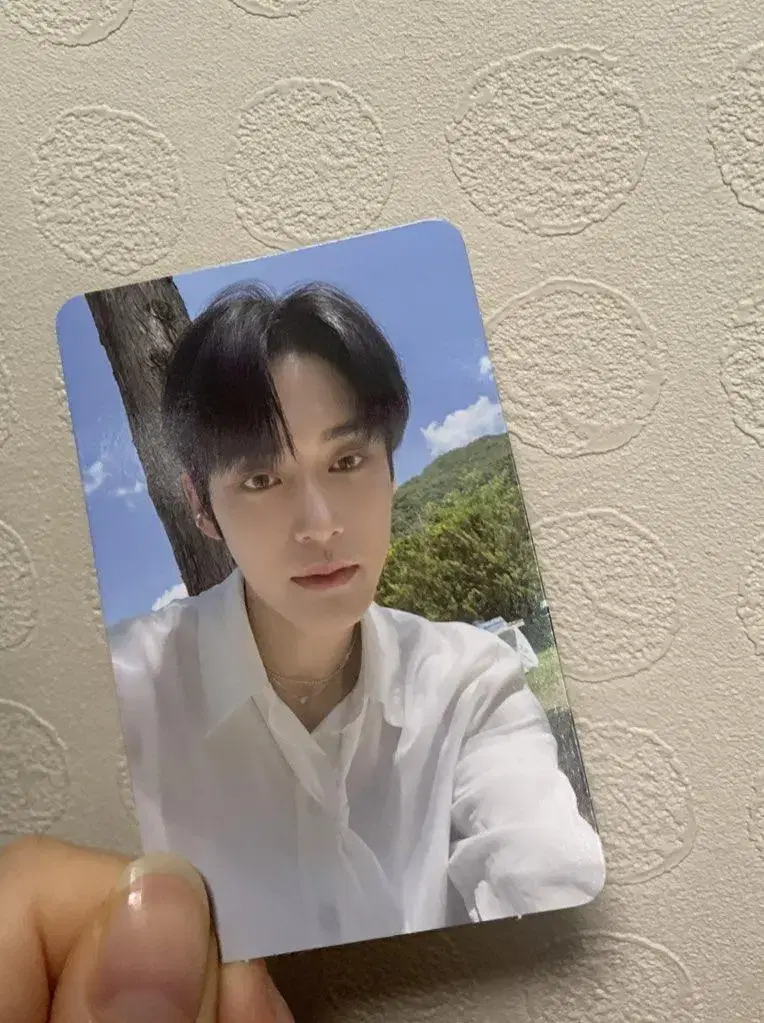 zerobaseone zb1 kim jiwoong alfo photocard wts shade ver