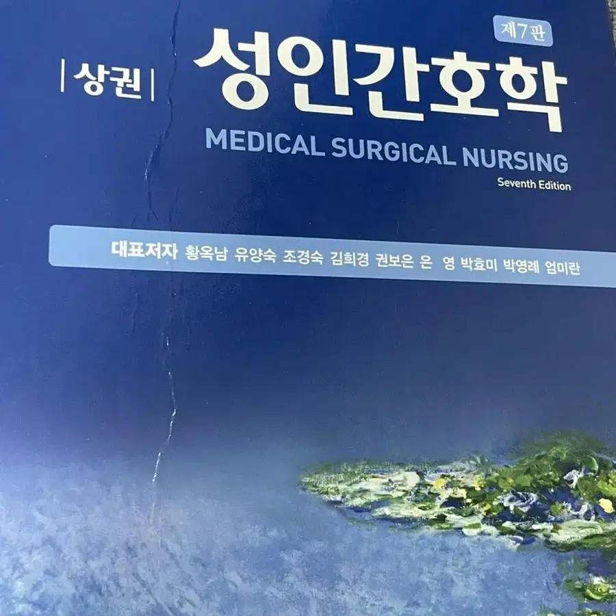 성인간호학 제 7판 상권 (현문사)