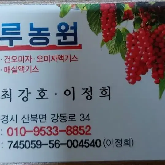 문경 오미자 예약 판매(생오미자 당절임 액기스 즙)