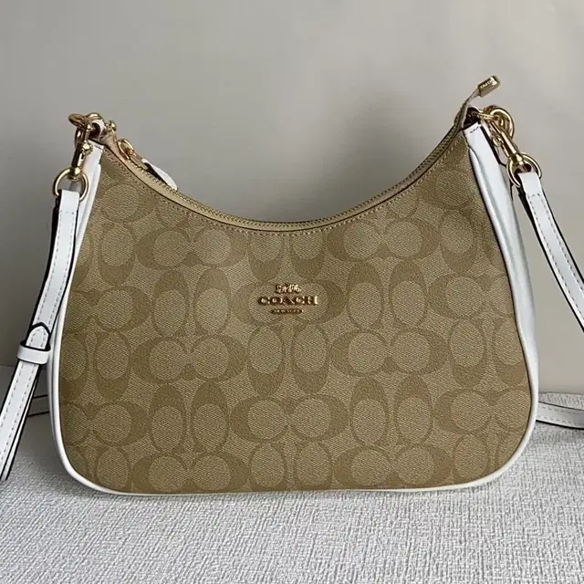 COACH CK161코치( CK161 여자 Teri Hobo 테리 호보