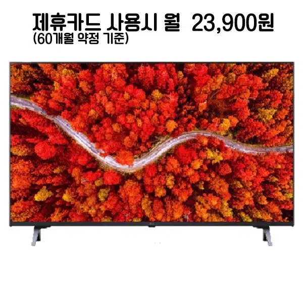 월48900원[렌탈]LG UHD TV 75인치