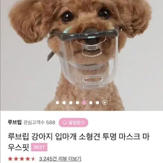 반려견 입마개 마스크