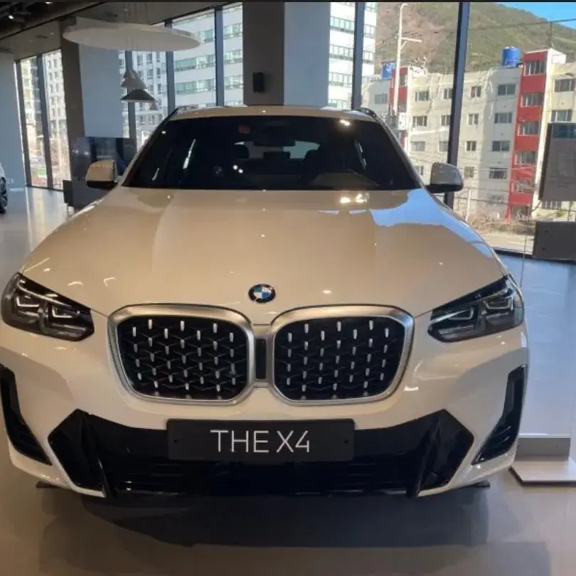 BMW X4 순정 키드니그릴 팜