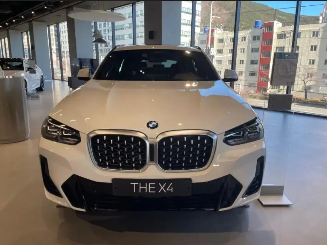 BMW X4 순정 키드니그릴 팜