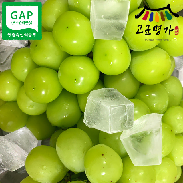 고군명가 김진환농부 LED농법 GAP 샤인머스켓 특품 3kg 4-5수