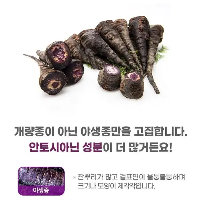 부링농산 자색당근사과비트 NFC착즙 80ml*30포 mbn천기누설방영 추