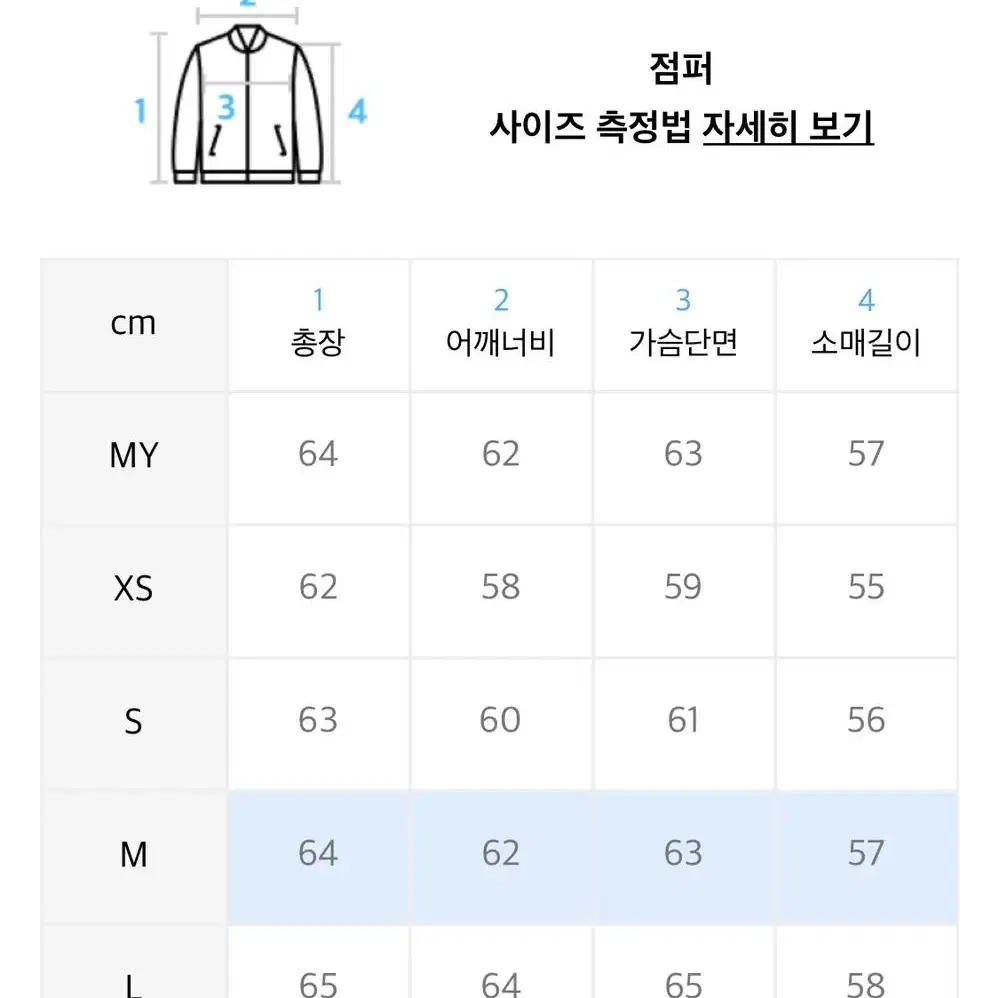 벌스데이수트 바시티 그린 M / NEW STADIUM JACKET