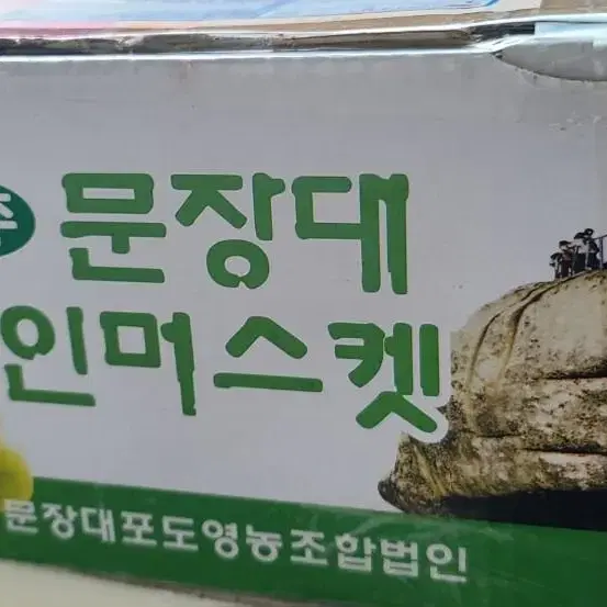 경식이네포도농장.고랭지 햇포도 샤인머스켓