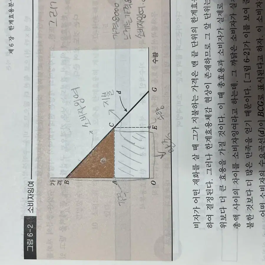 경제학원론 제2판 정창영