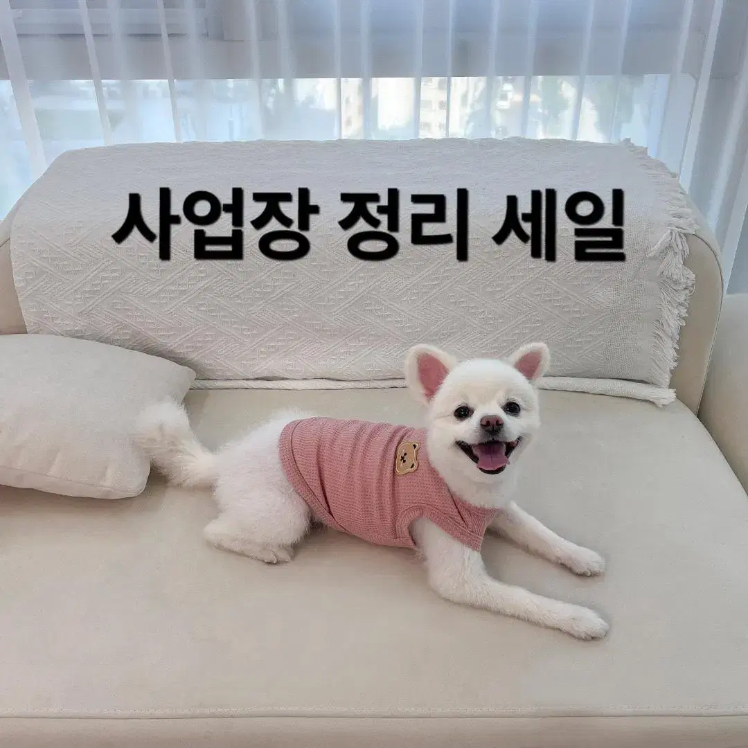 강이지옷 반려견옷 곰돌이 나시