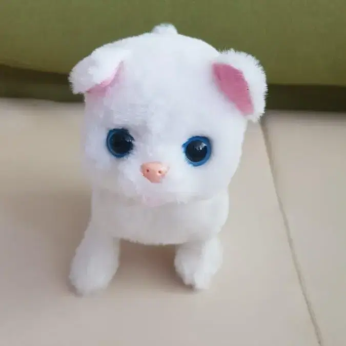 (거의새것)움직이는 귀여운 고양이 인형