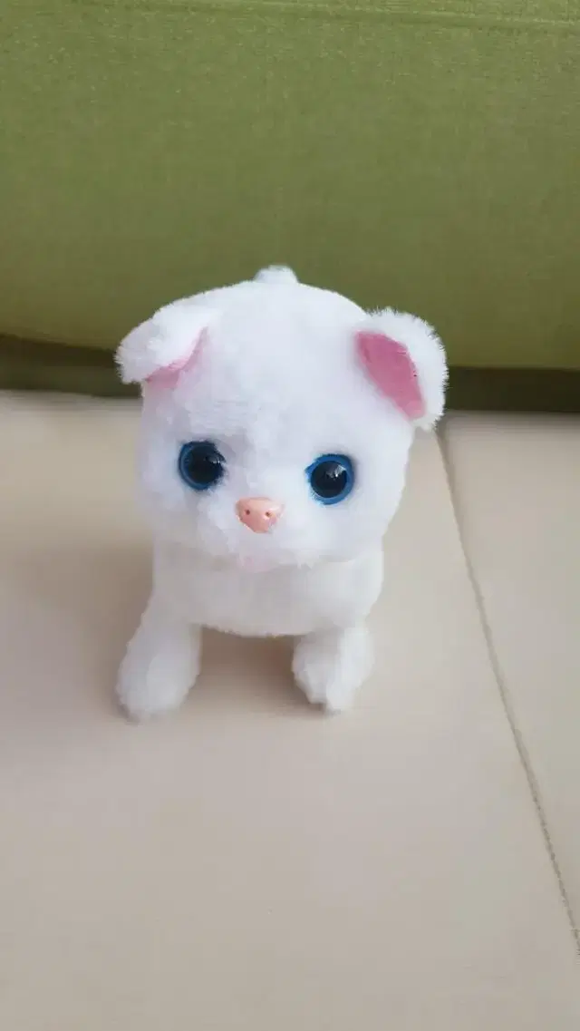 (거의새것)움직이는 귀여운 고양이 인형