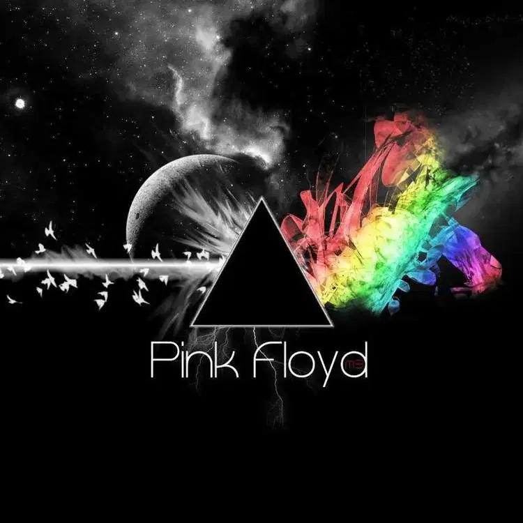 Pink Floyd 의 오리지널 밴드티셔츠  입니다