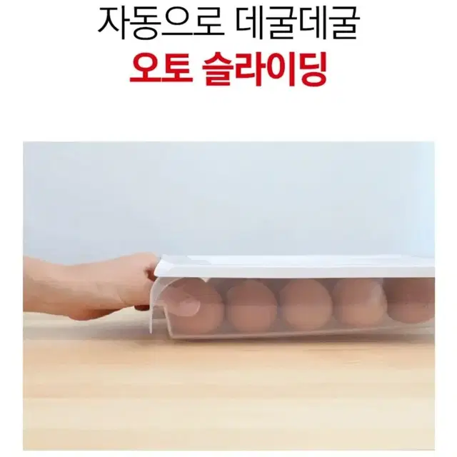 계란트레이 2개